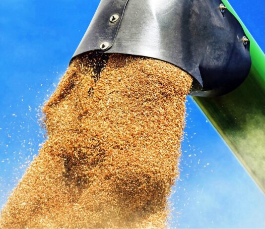 La Lonja de León vive otra sesión de tensa espera de las noticias del exterior que marquen tendencia