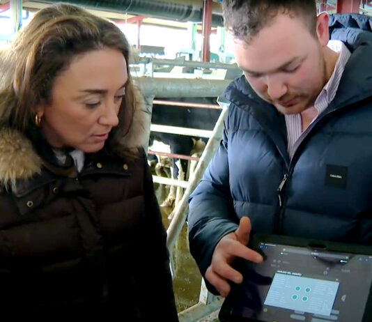 Campo Palentino | 27/FEBRERO/2025