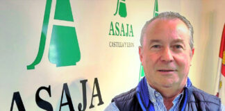 Lo que nos jugamos en Mercosur