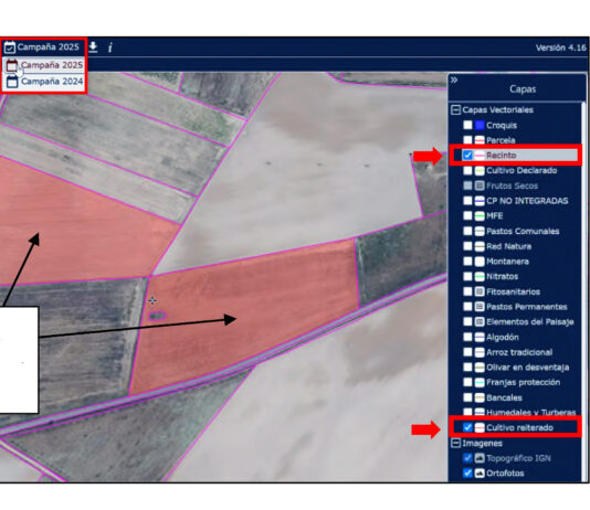 El FEGA actualiza en el visor SIGPAC la capa de cultivos reiterados con la información de 2024