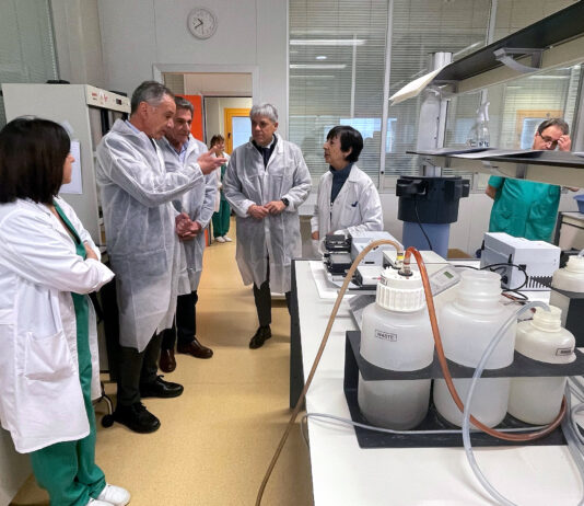 La Junta anima a los ganaderos a vacunar contra la lengua azul «como mejor forma de protección»