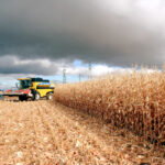 El trimestre de abril a junio sigue funcionando en 2025 para establecer el cultivo principal