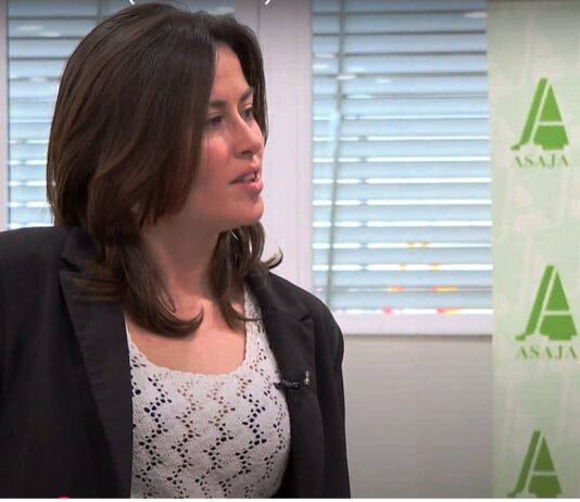 Campo Palentino | 30/ENERO/2025