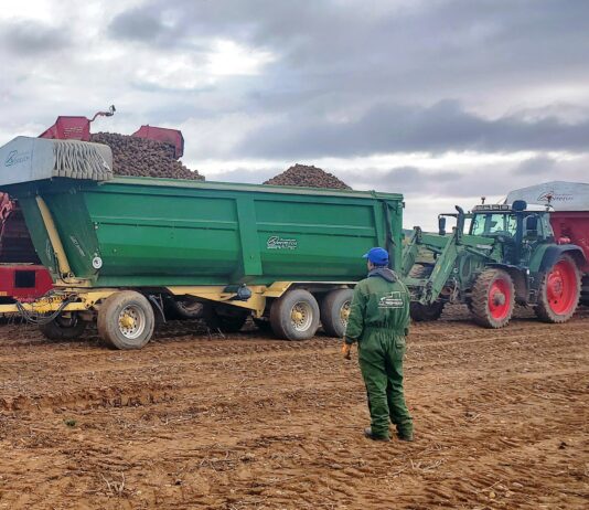 Los autónomos dados de alta en 2022 y 2023 pueden pedir hasta el 16 de septiembre la ayuda de la Junta
