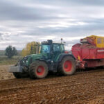 La estabilidad en los cereales se contagia también a la patata, que repite precios en la Lonja de León