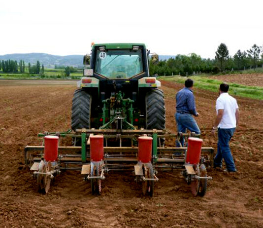 Los menores de 40 años fueron por primera vez en 2024 los principales beneficiarios de avales SAECA