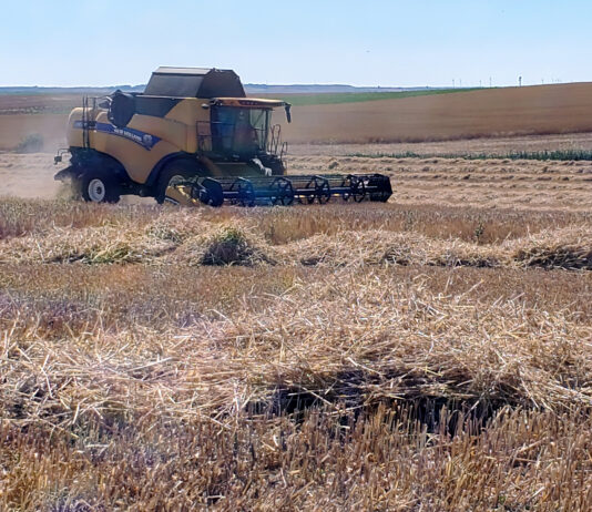 ASAJA ve atendidas en el Congreso dos importantes medidas en materia laboral y energética