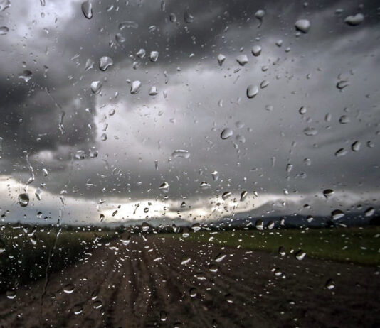 El pasado febrero fue más cálido y más húmedo de lo normal en casi toda la provincia de Palencia