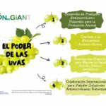 ASAJA, presente en el proyecto NeoGiANT de nuevos usos agroganaderos del extracto y el residuo de uva