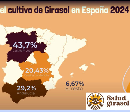 «Cultivo de girasol, rentabilidad y sostenibilidad», episodio 11 de nuestros ‘Apuntes agrarios’