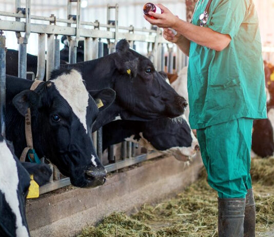 ASAJA apoya a los veterinarios y subraya que la mala normativa afectó al ganado antes que a las mascotas