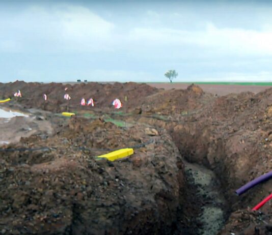 Campo Palentino | 20/MARZO/2025