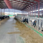 ASAJA advierte al Gobierno del sobrecoste en la ganadería que acarrea el arancel a la soja de EEUU