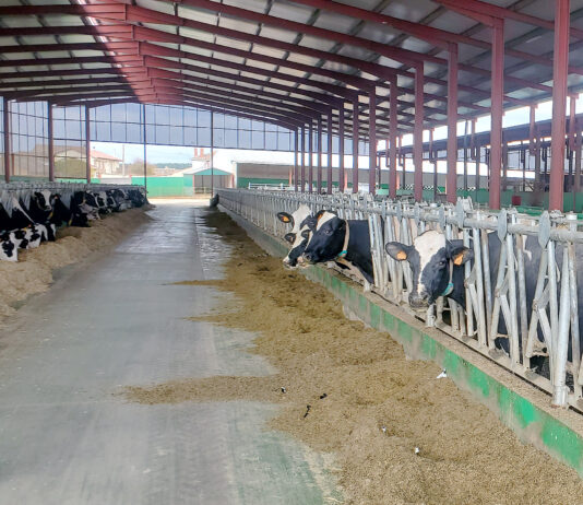 ASAJA advierte al Gobierno del sobrecoste en la ganadería que acarrea el arancel a la soja de EEUU