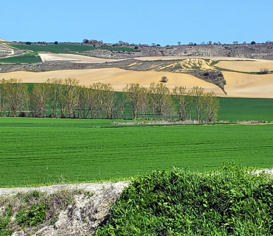 Marzo, mucho más húmedo de lo normal y con el termómetro por debajo de lo esperable en ese mes