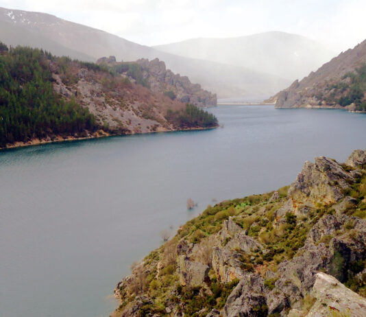 La CHD aprueba 5000 metros cúbicos por hectárea para riego en el Carrión y 6000 en el Pisuerga