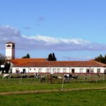 El CIFP ‘Viñalta’ ofrece en junio sendos cursos de cultivo micológico y de paisajismo y jardinería