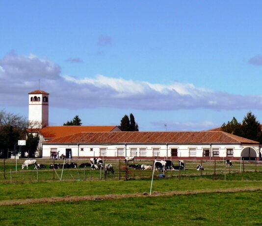 El CIFP ‘Viñalta’ ofrece en junio sendos cursos de cultivo micológico y de paisajismo y jardinería