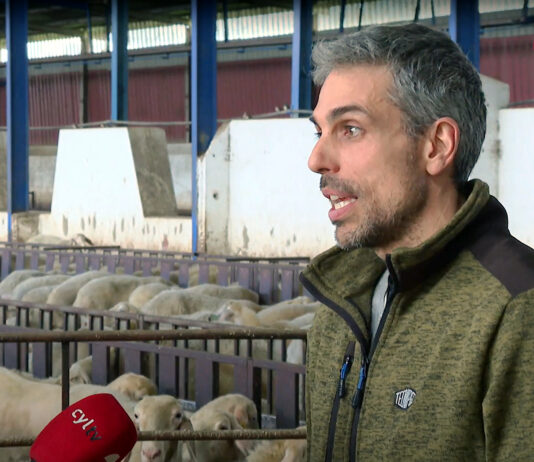 Campo Palentino | 24/ABRIL/2025