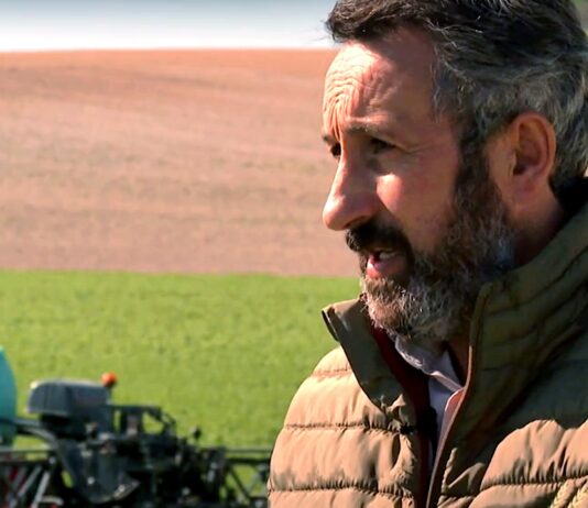 Campo Palentino | 10/ABRIL/2025