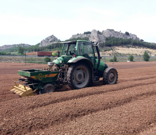 La Junta autoriza patata de siembra en 32 municipios y entidades locales menores en la campaña 2025-26
