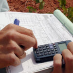 Más días para modificar el seguro de herbáceos y dar altas de girasol de regadío con cobertura de fauna