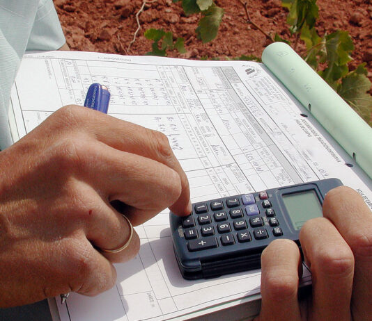 Más días para modificar el seguro de herbáceos y dar altas de girasol de regadío con cobertura de fauna