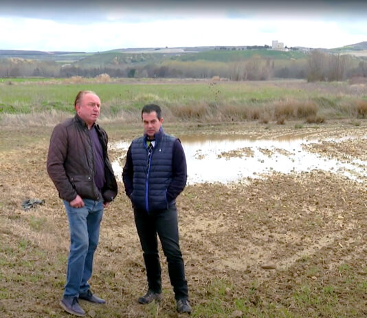 Campo Palentino | 4/ABRIL/2025