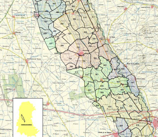 La concentración parcelaria de Las Vegas de Saldaña, Carrión y Villamoronta II, en información pública