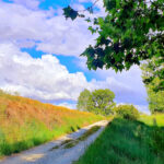 La Diputación de Palencia convoca subvenciones a los municipios para obras en los caminos rurales