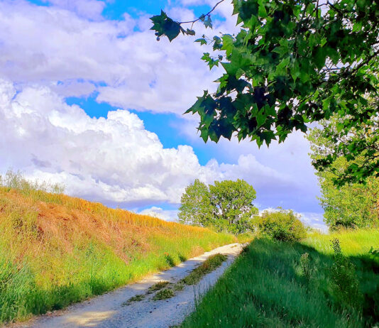 La Diputación de Palencia convoca subvenciones a los municipios para obras en los caminos rurales
