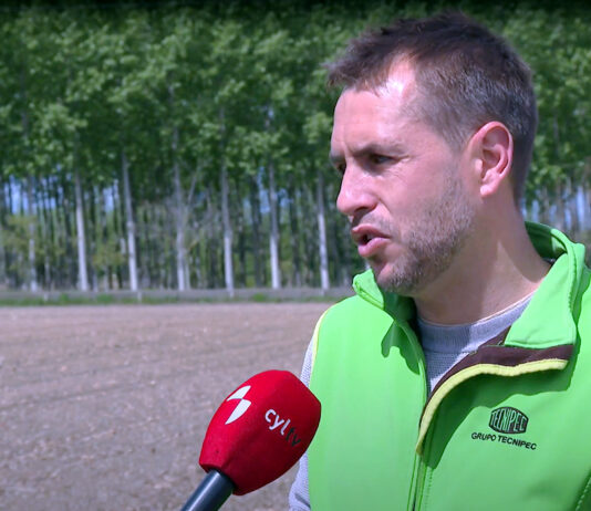 Campo Palentino | 15/MAYO/2025