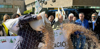 El bienio 2024-2025 se salda con bajadas medias del 20 % en el precio del cereal y del 56 % en los forrajes