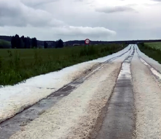 ASAJA insiste en la convenciencia de asegurar contra el pedrisco, el incendio y los riesgos excepcionales