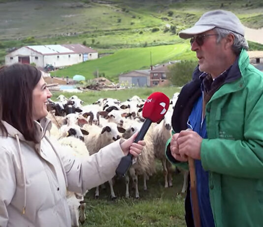 Campo Palentino | 8/MAYO/2025