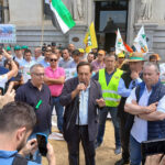 El campo exige al Gobierno de España medidas para salvar la producción cerealista nacional