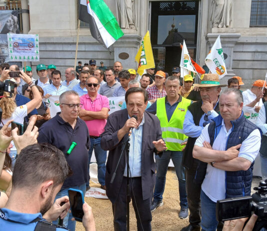 El campo exige al Gobierno de España medidas para salvar la producción cerealista nacional