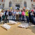 La Lonja de León deja de cotizar todo el cereal de invierno hasta visar contratos de la próxima cosecha