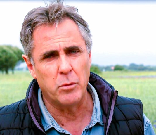 Campo Palentino | 5/JUNIO/2025