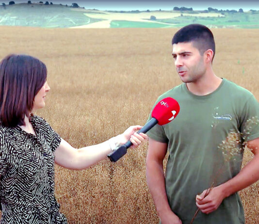 Campo Palentino | 26/JUNIO/2025