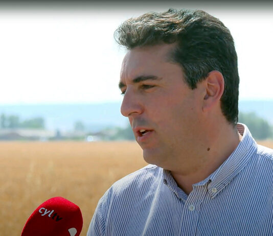 Campo Palentino | 19/06/2025