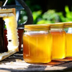 Las ayudas de la intervención sectorial apícola de 2025 podrán solicitarse hasta el 30 de junio