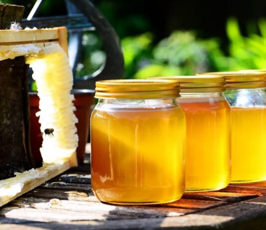 Las ayudas de la intervención sectorial apícola de 2025 podrán solicitarse hasta el 30 de junio