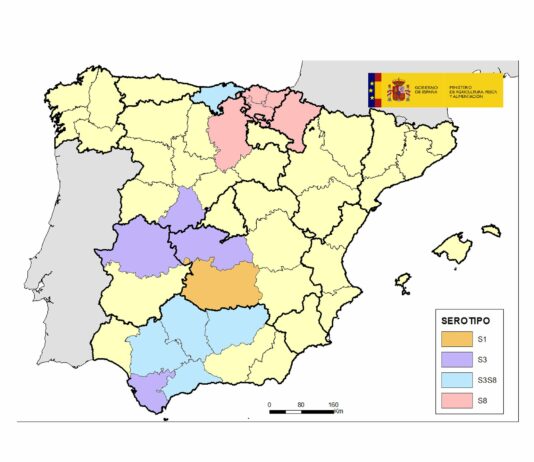 Ávila, segunda provincia de Castilla y León con presencia del virus de la lengua azul