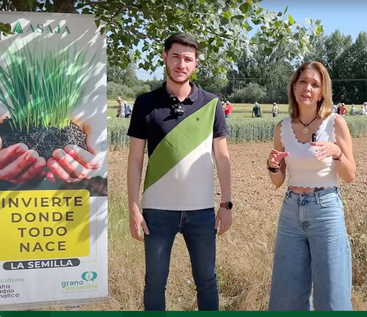 Invierte donde todo nace: la semilla (Apuntes agrarios | Episodio 16)