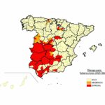 Ninguna zona de Palencia figura este 2025 en riesgo alto de tuberculosis bovina, según el Ministerio