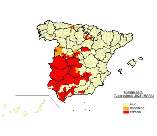 Ninguna zona de Palencia figura este 2025 en riesgo alto de tuberculosis bovina, según el Ministerio