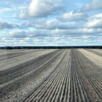 El volteo y la labor profunda, prohibidos hasta el 1 de septiembre en los herbáceos de invierno de secano