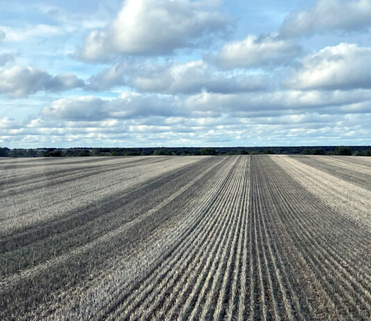 El volteo y la labor profunda, prohibidos hasta el 1 de septiembre en los herbáceos de invierno de secano