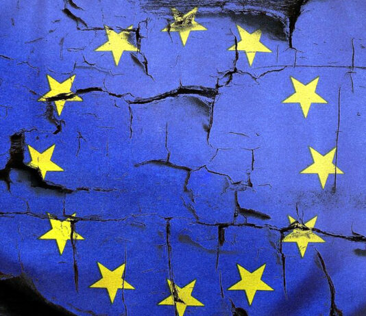 La Comisión Europea vende la agricultura y la ganadería comunitarias